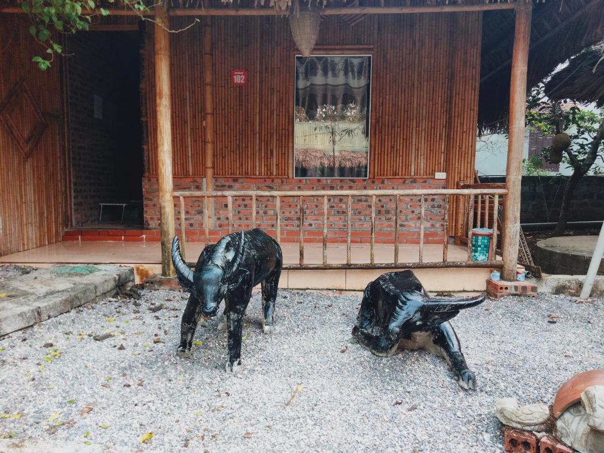 Ninh Binh Bungalow Homestay Buitenkant foto